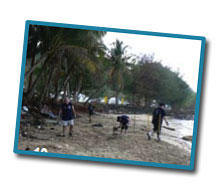 volunteers on the beach