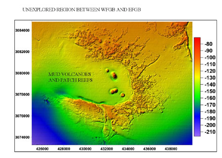 Figure 23.	High-resolution bathymetry of Horseshoe Bank, located between East and West Flower Garden Banks. Source: NOAA/FGBNMS/UNH