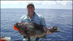 Figure 14.	Official IFGA world record and Texas state record marbled grouper (<i>Dermatolepis inermis</i>), caught July 16, 2006, at the Flower Garden Banks by Scott Anderson (pictured). Photo: John Stout