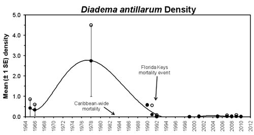 Figure 36.Temporal patterns in mean Diadema antillarum density on shallow spur and groove reefs in the Florida Keys. (Data: Randall et al. 1964, McPherson 1968, Forcucci 1994, Bauer 1980, Chiappone et al. 2002b, c, 2008)