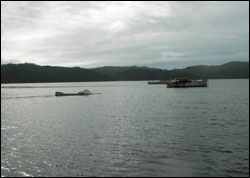 Figure 26. Derelict vessels on the shore and sinking within Tomales Bay can cause increased pollution and invasive species. (Photo: GFNMS)