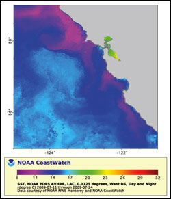 Figure 30. Satellite image of sea surface temperatures, showing multiple upwelling centers and cold filaments north and south of Point Reyes, Drakes and Bolinas Bays, and Point Ao Nuevo. Upwelling, along with tidal and current patterns, mix coastal and offshore waters which declines human health risks posed by HABs. (Map: NOAA CoastWatch)