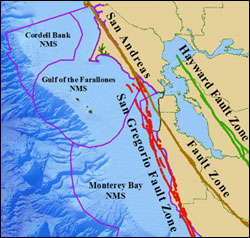 Figure 7. The San Andreas Fault Zone system within the Gulf of the Farallones region. The northerly motion of the Pacific plate, relative to the North American Plate, led to the formation of the San Andreas Fault system. (Map: T. Reed, GFNMS)