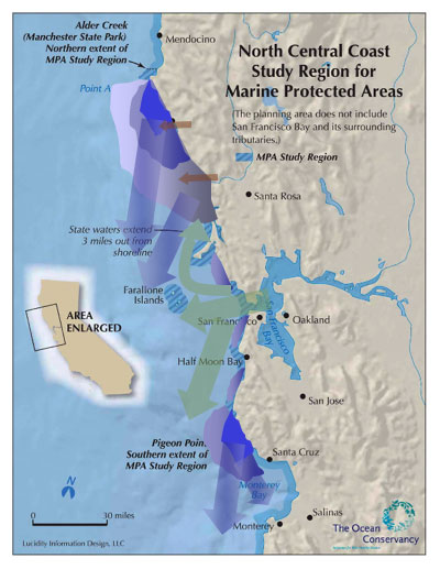 Figure 8. Schematic of major oceanographic features off the north-central California coast: Blue zones indicate upwelling centers that may be localized at capes (Point Arena, Pigeon Point) or expand along much of the coast), while blue arrows indicate plumes of upwelled waters moving south and offshore from upwelling centers. Green arrows indicate plumes of San Francisco Bay outflow, moving either south (during upwelling) or north (during weak winds or winter). Strong winter outflow from rivers like the Russian and Gualala is demarcated by brown arrows. Not shown is the retention zone in Drakes Bay and smaller zones in Bodega Bay and Half Moon Bay. These schematic patterns change with the wind, land runoff, seasons and years. (Sources: MLPA Regional Profile: J. Largier, Bodega Marine Lab, and The Ocean Conservancy 2007)    