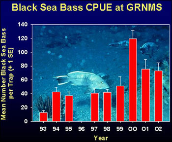 Figure 24. Black sea bass catch at Gray's Reef National Marine Sanctuary through the Marine Monitoring, Assessment and Prediction Program   South Carolina Department of Natural Resources. Source: Gray's Reef National Marine Sanctuary