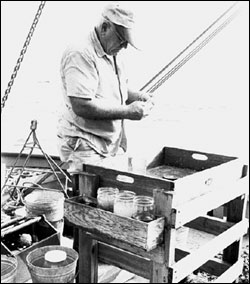 Gray's Reef was named after Milton Sam Gray, who conducted extensive biological surveys of the ocean floor off the Georgia coast. Source: Georgia Marine Institute