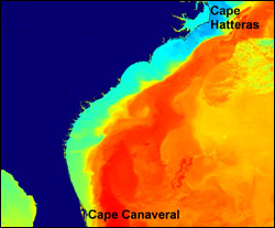 Figure 5. The South Atlantic Bight is the term used to describe the U.S. coastal ocean from Cape Hatteras, N.C., to Cape Canaveral, Fla. Source: NOAA Coastal Services center