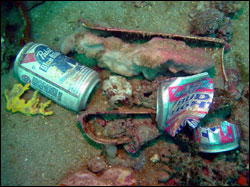 Figure 17. Marine debris is a direct result of human activities on land and at sea. Photo: Greg McFall/NOAA