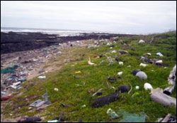 Figure 11. The southeastern Waiohinu-Ka Lae coast on the island of Hawai'i is a known area of accumulation for marine debris within the main Hawaiian Islands. During 2005-2006, the NOAA Marine Debris Program funded a cleanup of this area. (Photo: NOAA Marine Debris Program)