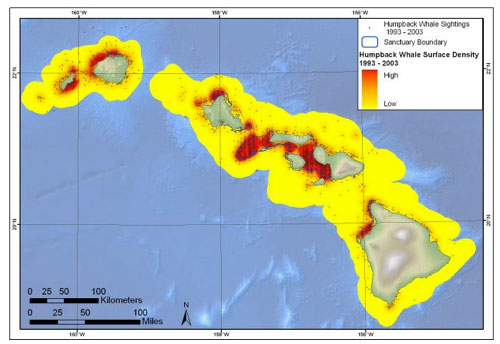 Humpback whale surface sightings and estimated surface density based on aerial survey data from 1993 to 2003. The aerial survey data used in this map only counts whales at the ocean surface. Also, note that the lower density areas (in yellow) should not be viewed as areas where there are no whales, rather as areas where density is lower than in higher density areas (orange/red); also the terms in the map key: 