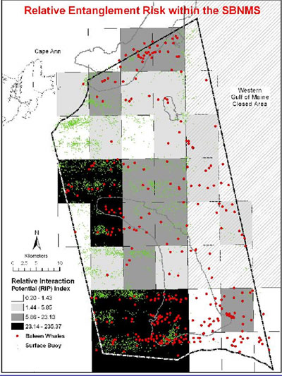 This map indicates high risk areas for whale entanglement based on co-occurrence of whales (red dots) and fixed fishing gear (green dots). 