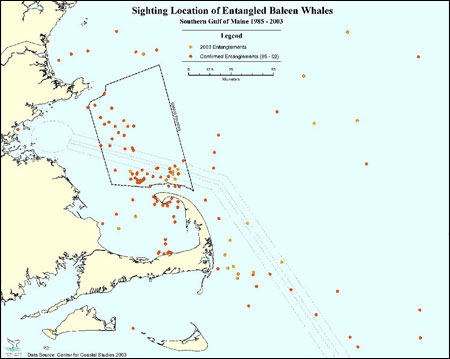 Chart of sighting locations of whales