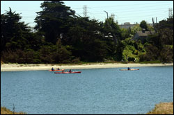 Figure 25. Kayaking is a popular way to enjoy the costal habitats of the sanctuary. Here kayakers explore Elkhorn Slough. Photo: R. Stamski, NOAA/MBNMS/SIMoN