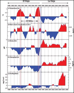 Figure 42. Monitoring data collected by the Monterey Bay Aquarium Research Institute were used to create time series of anomalies, with higher [or lower] than normal values in red [or blue]. (A) 0 m temperatures have in general remained cool since 1998, resulting in high (C) 60 m nitrate and (D) 0 m chlorophyll (overall phytoplankton biomass) values. However, centric diatoms decreased sharply in 2003 and were apparently replaced by (E) dinoflagellates in 2004. This phytoplankton switch may have been caused by increased (B) near-surface stratification (0-20 m difference in the water density parameter, sigma-t) which resulted from decreased wind-driven upwelling after 2003. Timing of two El Nios (pink column) and one La Nia (light blue column) are shown. Source: Pennington et al. 2007
