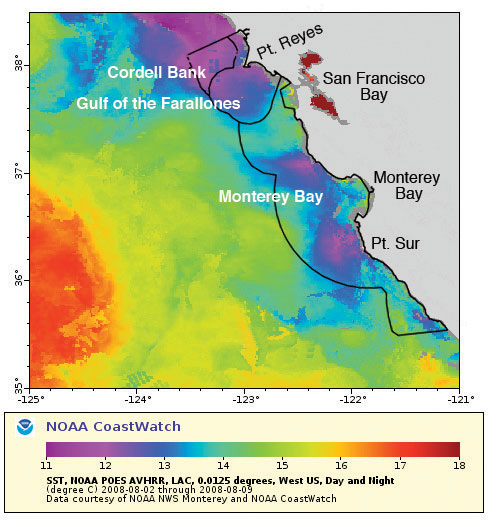 Figure 4.  A satellite image of sea surface temperature (°C) along the central California Coast from August 2008.
