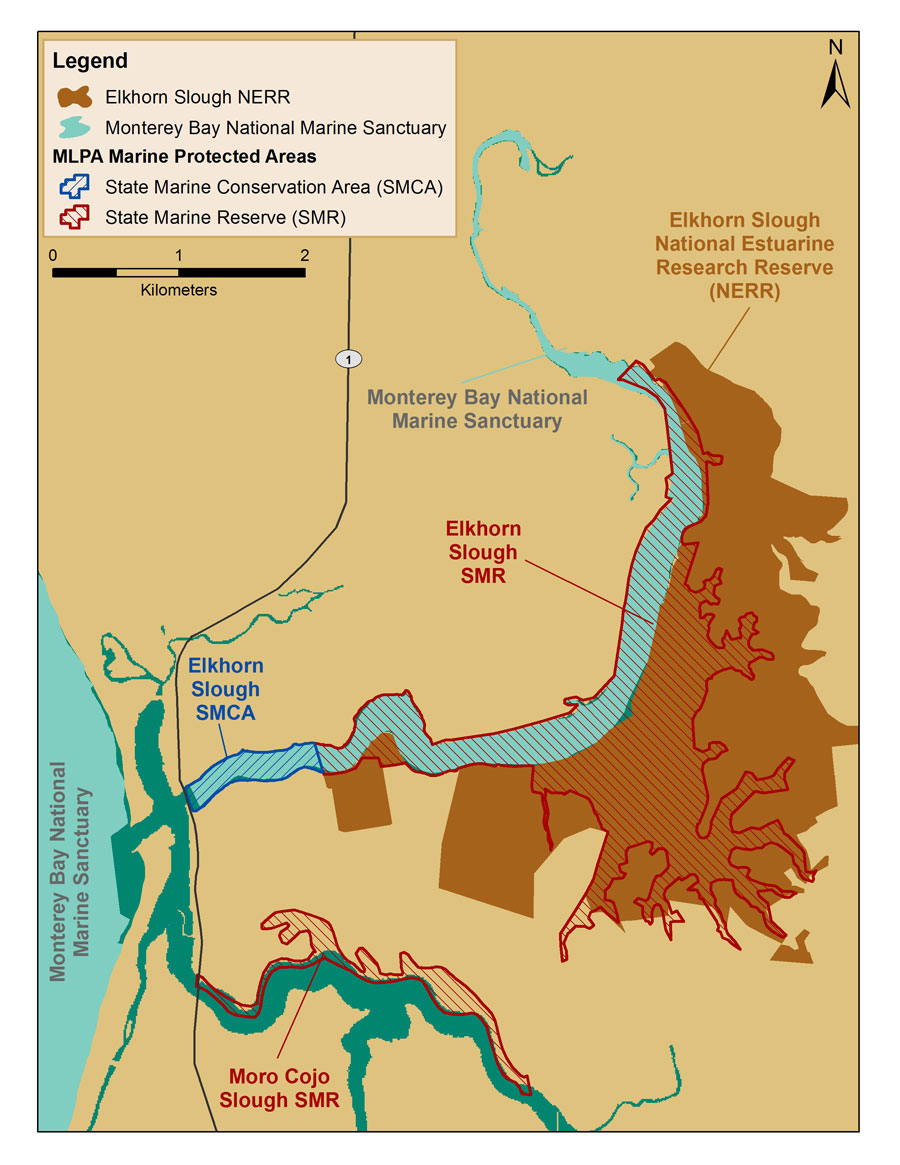 Figure 5.  The Monterey Bay National Marine Sanctuary (light blue) includes Elkhorn Slough east of the Hwy One bridge and west of the tide gate at Elkhorn Road and toward the center channel from the mean high water line, excluding areas within the Elkhorn Slough National Estuarine Research Reserve (brown). Two California Marine Life Protection Act (MLPA) Marine Protected Areas overlap with Monterey Bay sanctuary in this area: Elkhorn Slough State Marine Reserve (red hatching) and Elkhorn Slough State Marine Conservation Area (blue hatching). The data used to map the MLPA MPAs do not replace the legal description of boundaries found in Title 14, California Code of Regulations. Map: S. DeBeukelaer, NOAA/MBNMS