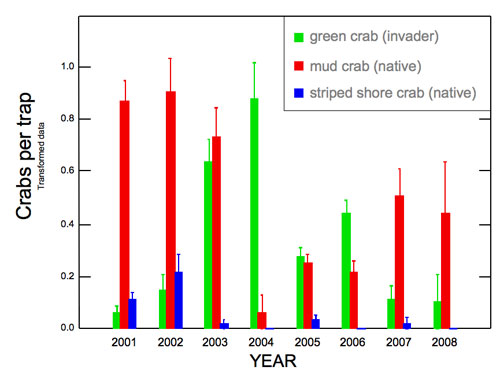 Figure 73. Field surveys have documented the invasion of the European green crab in Elkhorn Slough, which rapidly increased in abundance as native crabs decreased; in recent years, the green crabs have declined while the natives have recovered. Source: ESNERR, unpubl. data 