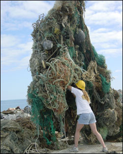 Figure 20. A NOAA diver removes derelict fishing gear on Midway Atoll. (Photo: Elizabeth Keenan)