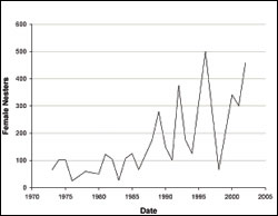 Figure 24. 	Nester abundance shown as the number of female green sea turtles nesting each year at East Island (French Frigate Shoals)  from 1973 to 2002. (Source: Balazs and Chaloupka 2003.)  