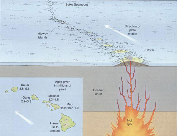 Figure 4. The Pacific plate slowly moves over the Hawaiian hotspot to the northwest at an average rate of 9.5 cm/yr Kure atoll, the most northern emergent land, was formed approximately 30 million years ago (Wessel et al. 2006). The area directly over the hotspot is volcanically active. The activity decreases and eventually stops as the plate moves on.  Diagram: NOAA Ocean Explorer