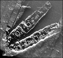 Sonar image of the Frank A. Palmer and Louise B. Crary shipwrecks.