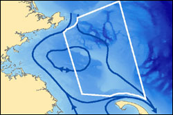 This image depicts the general oceanographic current regime (in blue) around Stellwagen Bank.