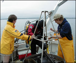 Scientists from the Marine Biological Laboratory in Woods Hole monitor sediment metabolism for the Massachusetts Water Resources Authority.