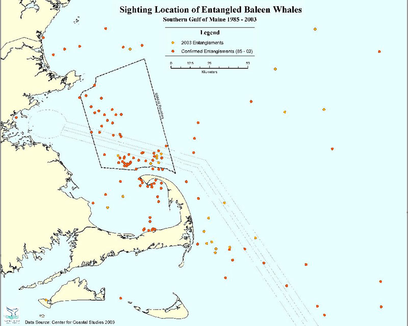 Chart of sighting locations of whales