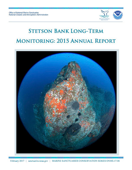 Stetson Bank Long-Term Monitoring: 2015 Annual Report