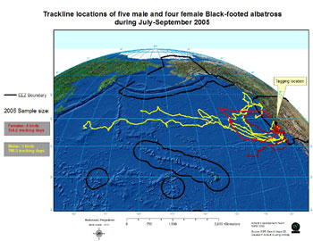 Trackline locations of four male and five female black-footed albatross tracked during July-September 2005