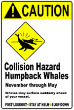 whale collision warning sign