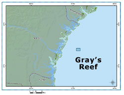 gray's reef map