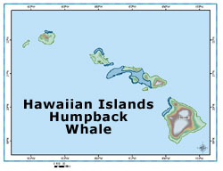 hawaiian islands humpback whale map