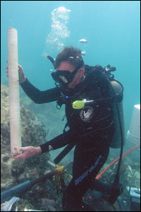 diver examining core