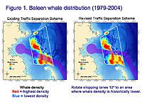 graphic showing present and enw shipping lanes and the historic whale distribution pattern