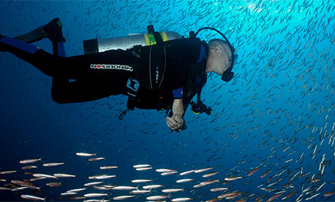 Diver underwater with fish