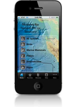 photo of seaphoto app on iphone