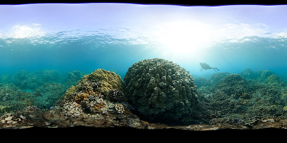 Virtual Dives - An immersive 360 view of your national marine sanctuaries