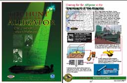 Alligator poster image