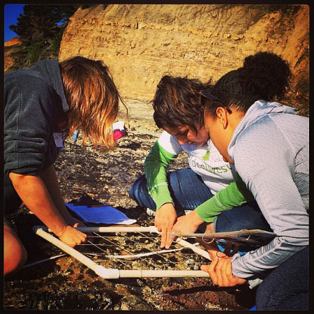 students monitoring intertidal community