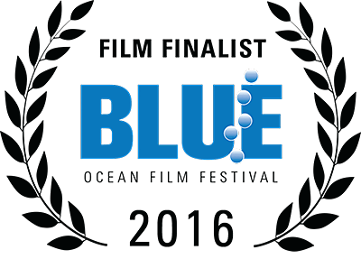 blue ocean film festival 2016 finalist
