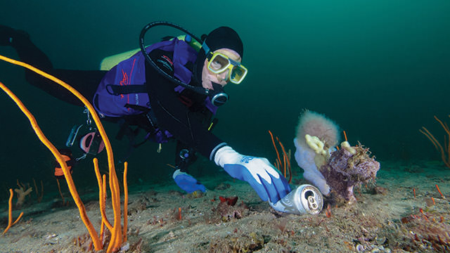 diver picking up marine debris