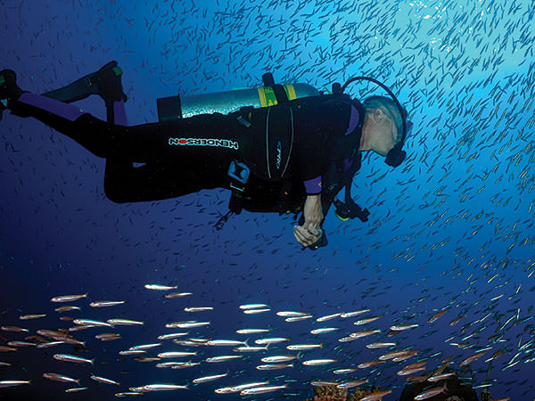 diver swimming through a school of fish
