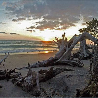 photo a stump pass beach at sunset