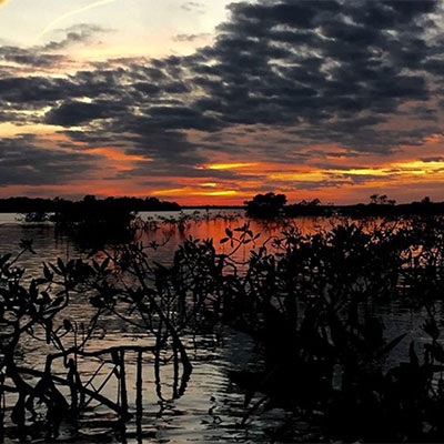 photo of a winter sunset in the mangroves