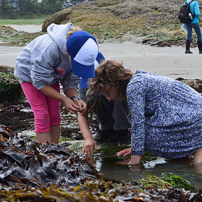 photo of children exploring a tidepool
