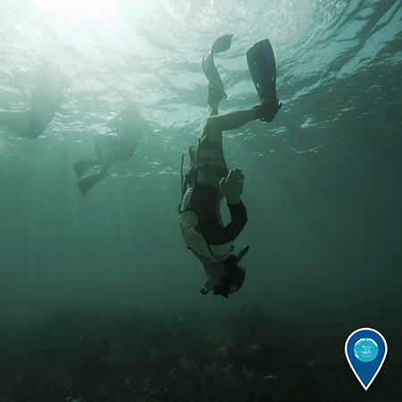 National Marine Sanctuaries are spectacular places to dive and snorkel