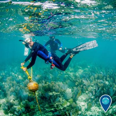 two divers checking a mooring buoy in the florida keys national marine sanctuary