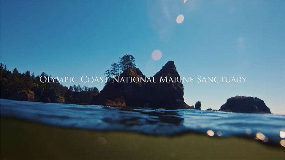 photo of cliffs and beach of olympic coast national marine sanctuary