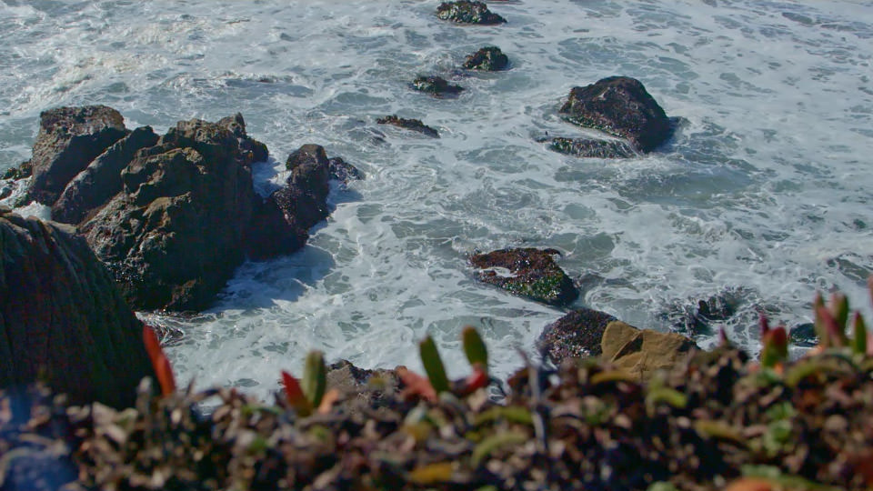 rocks on a coast